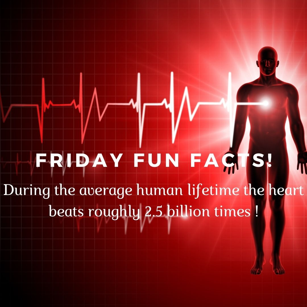 Friday Fun Facts Ken R Ashworth Associates